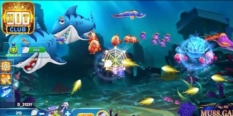 Tìm hiểu về ngư trường săn xu H5